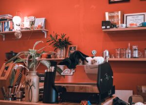 A világ kávézási kultúrája – Különleges szokások és hagyományok