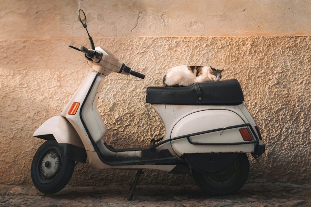 Nyaralás háziállattal – mit vigyél?