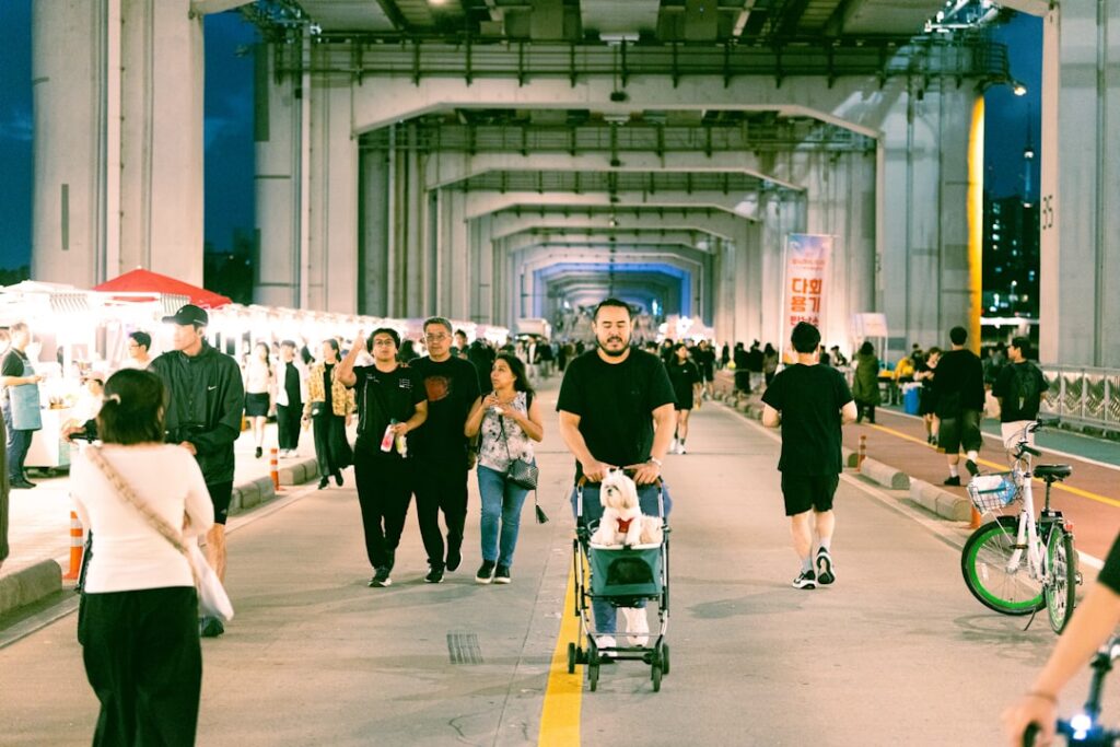 Nyaralás háziállattal – mit vigyél magaddal?